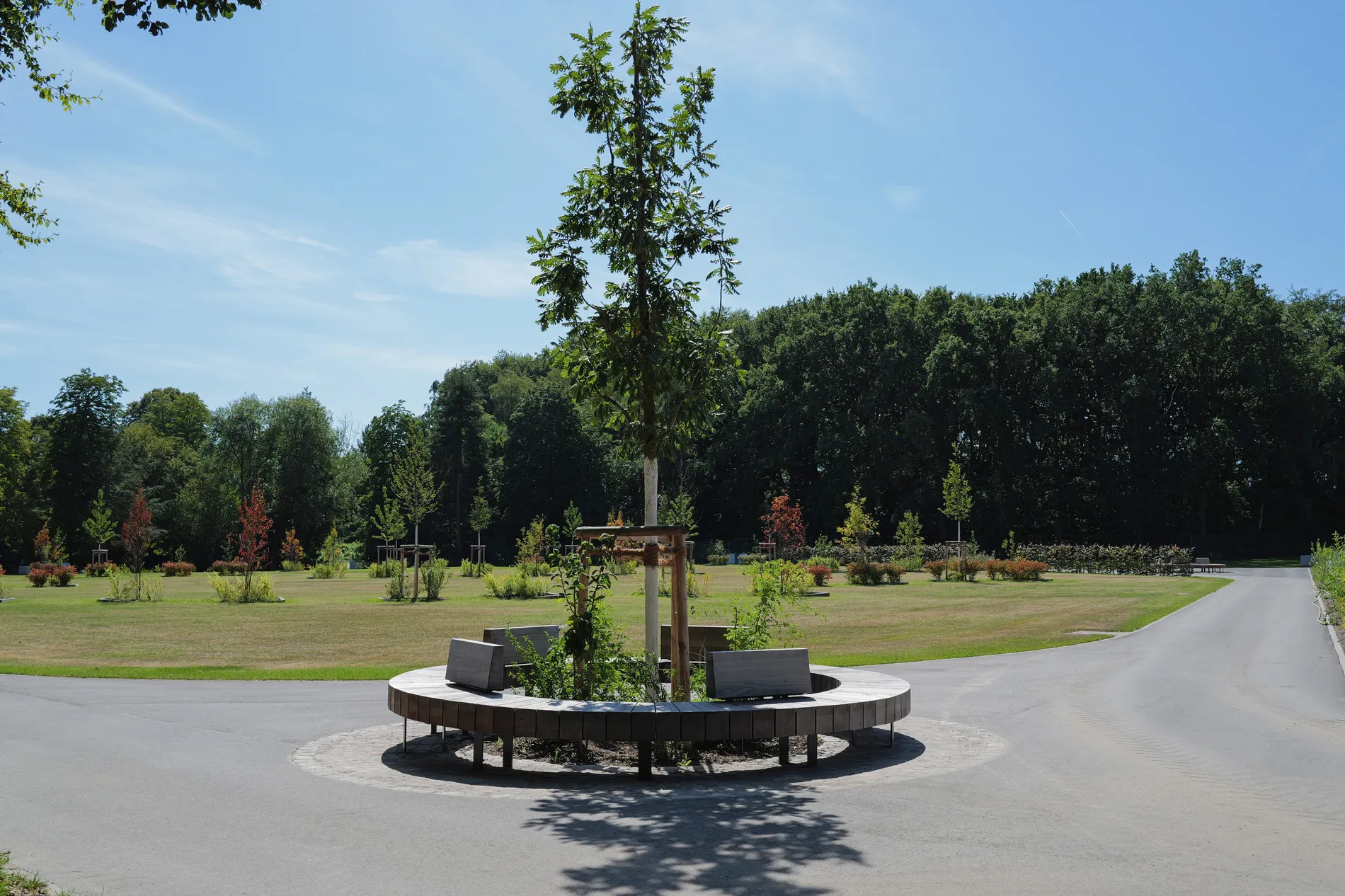 Moderne Parkgestaltung durch ressourcenschonendes, hochwertiges Stadtmobiliar